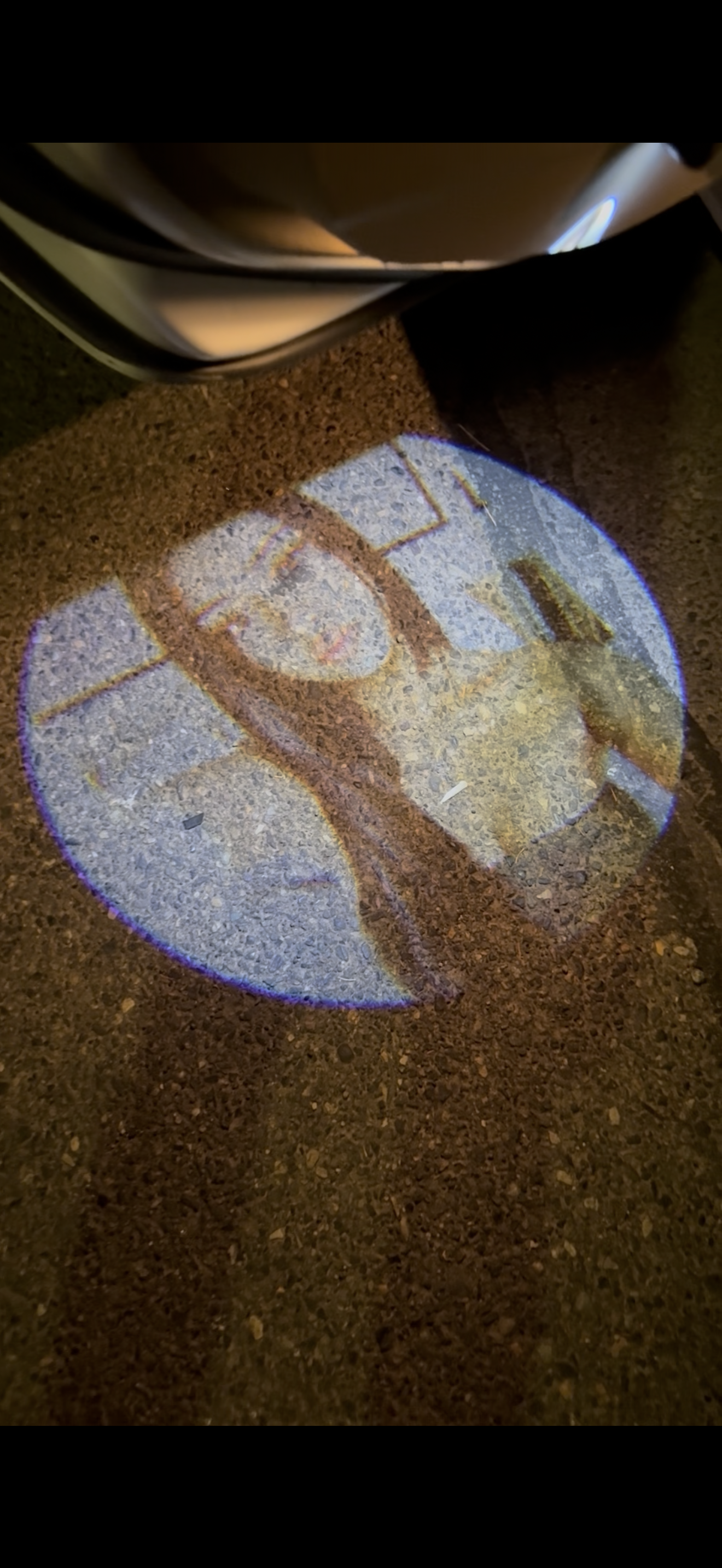 Custom Car Door Light